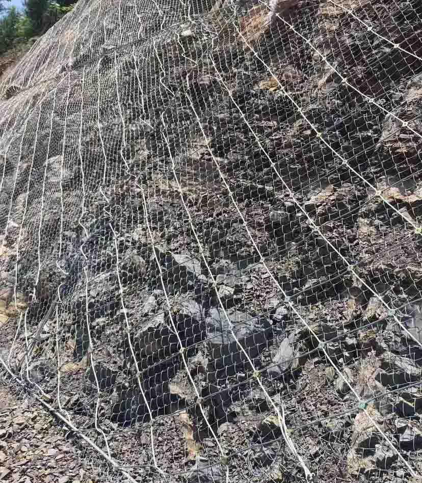 1616490670866195.jpg 581a6e7f4b11edceb5cab5f8e832e62.jpg